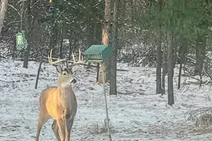 N14965 Pine Ln, Necedah, WI 54646 - Photo 3