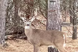 N14965 Pine Ln, Necedah, WI 54646 - Photo 7