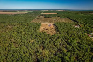 N14965 Pine Ln, Necedah, WI 54646 - Photo 87