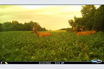 2910 W Bass Creek Road, Beloit, WI 53511 - Photo 21