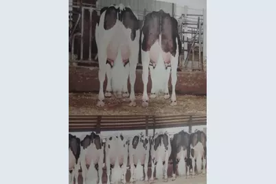 208784 River Run Road, Stratford, WI 54484 - Photo 11