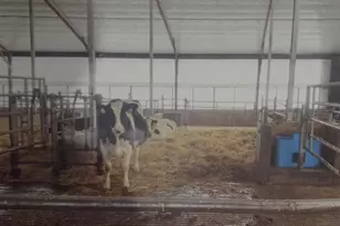 208784 River Run Rd, Stratford, WI 54484 - Photo 7