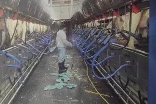 208784 River Run Rd, Stratford, WI 54484 - Photo 17