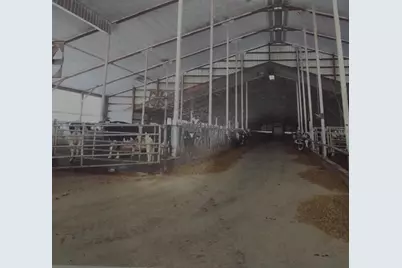 208784 River Run Road, Stratford, WI 54484 - Photo 3