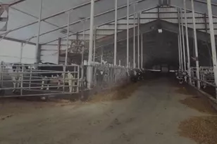 208784 River Run Rd, Stratford, WI 54484 - Photo 3