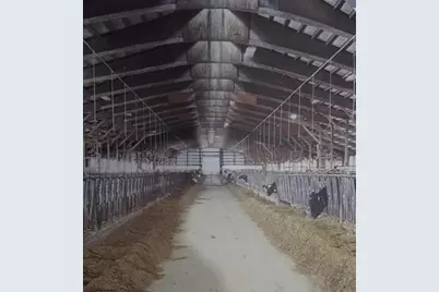 208784 River Run Road, Stratford, WI 54484 - Photo 9