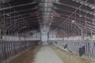 208784 River Run Rd, Stratford, WI 54484 - Photo 9