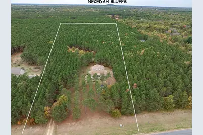 N10167 County Road G, Necedah, WI 54646 - Photo 11