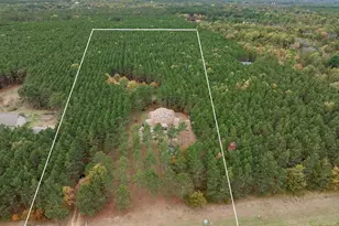 N10167 County Rd G, Necedah, WI 54646 - Photo 11