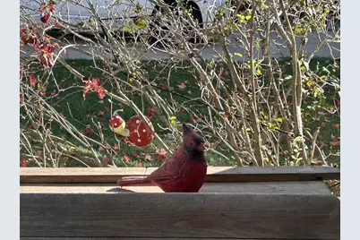 701 E 2nd Avenue, Brodhead, WI 53520 - Photo 43