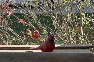 701 E 2nd Ave, Brodhead, WI 53520 - Photo 43