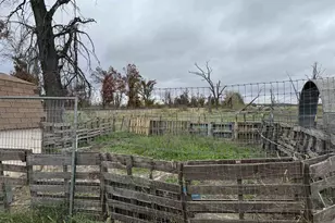 10086 County Road Pp, Warrens,warrens, WI 54666 - Photo 9