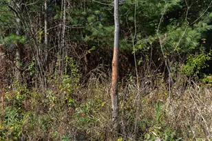 28133 Co Hwy ET, Tomah, WI 54660 - Photo 35