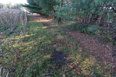 28133 County Highway Et, Tomah, WI 54660 - Photo 31