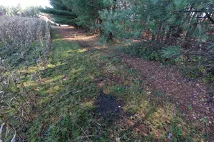 28133 Co Hwy ET, Tomah, WI 54660 - Photo 31