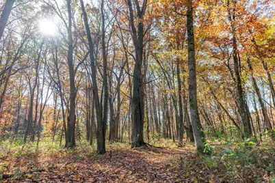 28133 County Highway Et, Tomah, WI 54660 - Photo 33