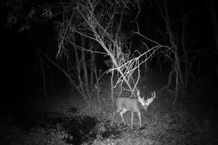 1021 Prairie Queen Rd, Cambridge, WI 53523 - Photo 79