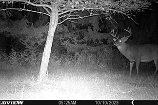 21478 County Hwy Zz Rd, Richland Center, WI 53581 - Photo 37