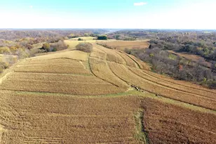 21478 County Hwy Zz Rd, Richland Center, WI 53581 - Photo 3