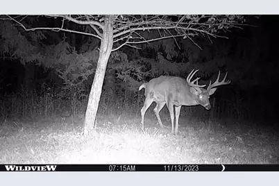 21478 County Hwy Zz Road, Richland Center, WI 53581 - Photo 39