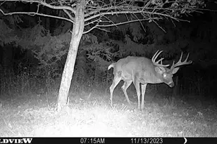 21478 County Hwy Zz Rd, Richland Center, WI 53581 - Photo 39