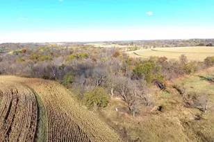 21478 County Hwy Zz Rd, Richland Center, WI 53581 - Photo 7