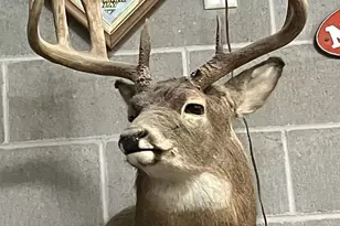 21478 County Hwy Zz Rd, Richland Center, WI 53581 - Photo 59