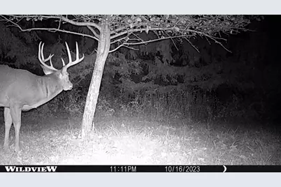 21478 County Hwy Zz Road, Richland Center, WI 53581 - Photo 61