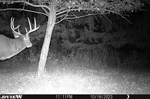 21478 County Hwy Zz Rd, Richland Center, WI 53581 - Photo 61