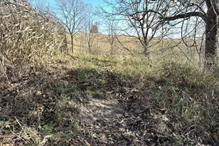 21478 County Hwy Zz Rd, Richland Center, WI 53581 - Photo 49