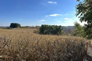 21478 County Hwy Zz Rd, Richland Center, WI 53581 - Photo 45