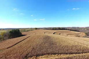 21478 County Hwy Zz Rd, Richland Center, WI 53581 - Photo 5