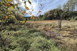 N2089 Shadow Rd, Waupaca, WI 54981 - Photo 57