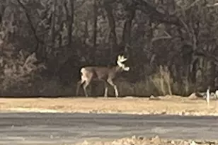 1222 Prairie Ave, Janesville, WI 53545 - Photo 31