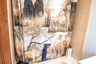 3649 and 3648 11th Dr, Wisconsin Dells, WI 53965 - Photo 45