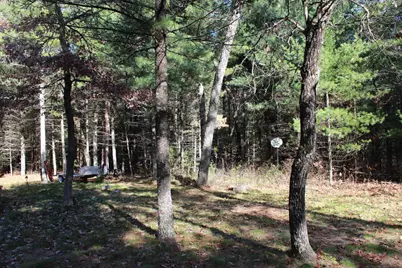 2380 State Road 13, Adams, WI 53910 - Photo 13