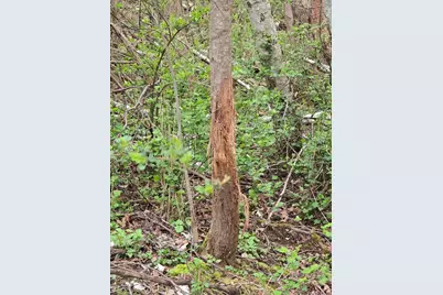 54631 Scenic View Road, Mount Sterling, WI 54645 - Photo 37