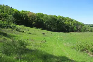 30228 County Hwy W, Elroy, WI 53929 - Photo 87