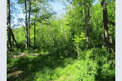 30228 County Hwy W, Elroy, WI 53929 - Photo 89