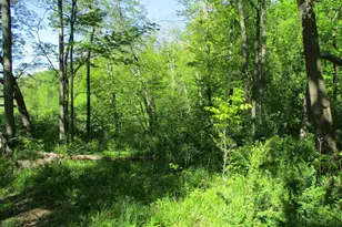 30228 County Hwy W, Elroy, WI 53929 - Photo 89