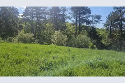 30228 County Hwy W, Elroy, WI 53929 - Photo 81