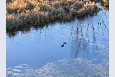 74 M/L Acres York Center Road, Marshall, WI 53559 - Photo 29