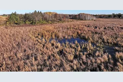 74 M/L Acres York Center Road, Marshall, WI 53559 - Photo 33