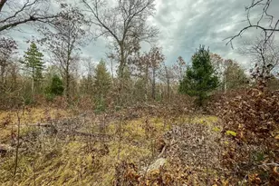 1972 W 7th Ct, Friendship, WI 53934 - Photo 35