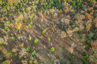 1972 W 7th Court, Friendship, WI 53934 - Photo 37