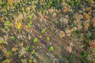 1972 W 7th Ct, Friendship, WI 53934 - Photo 37