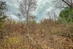 1972 W 7th Ct, Friendship, WI 53934 - Photo 33