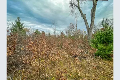 1972 W 7th Court, Friendship, WI 53934 - Photo 29