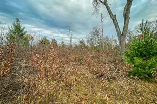 1972 W 7th Ct, Friendship, WI 53934 - Photo 29