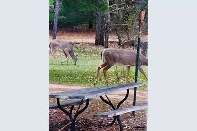 1972 W 7th Court, Friendship, WI 53934 - Photo 51